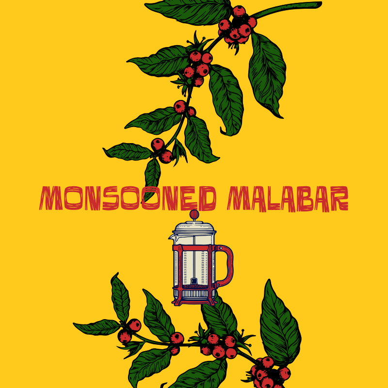 Monsooned Malabar Decaf Coffee India