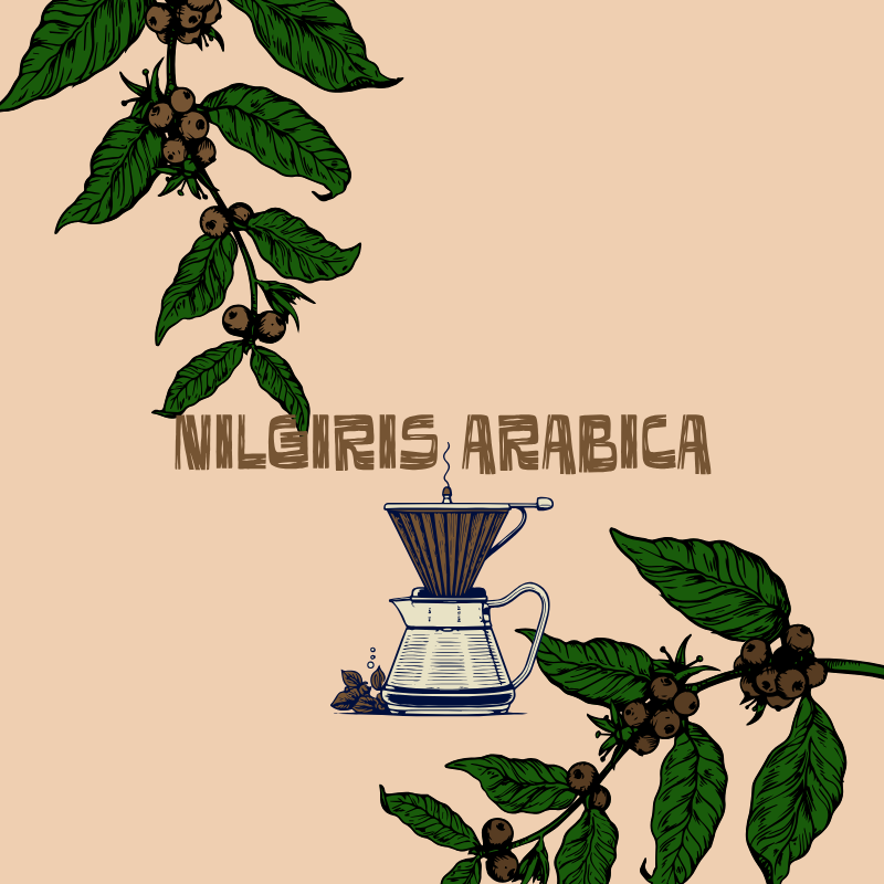 Nilgiris Arabica Specialty Decaffeinated Coffee